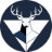 GameCam AI