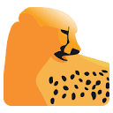Golden Cheetah