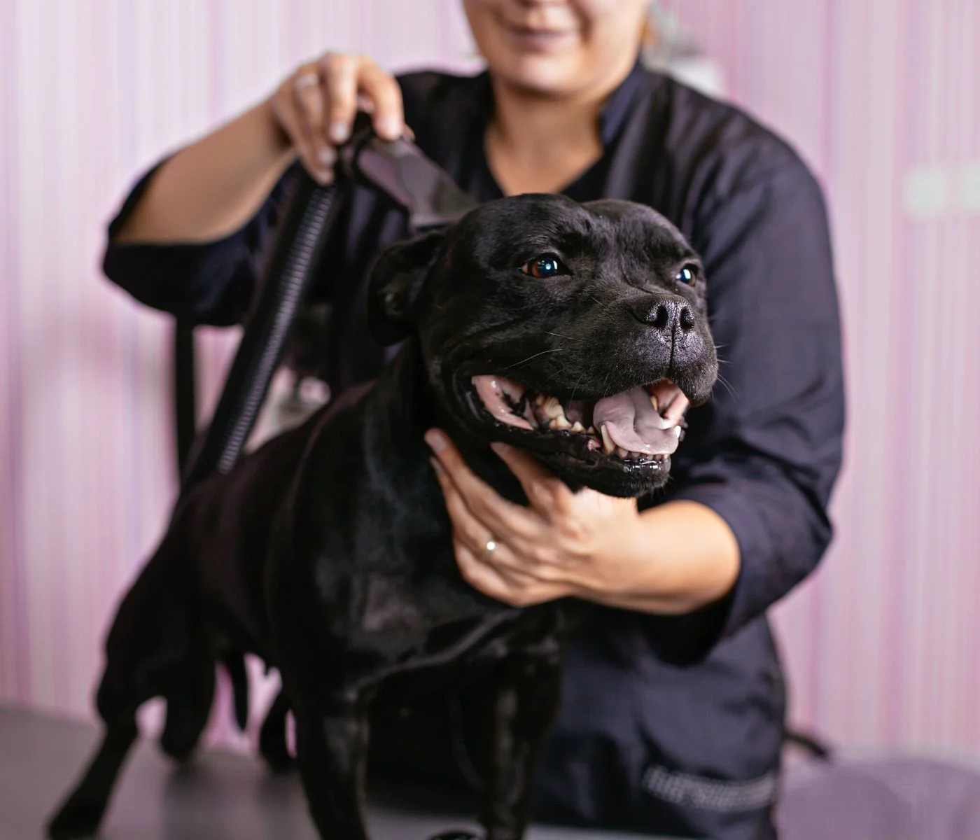 Groomer.io