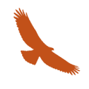 HawkWatch Raptor ID