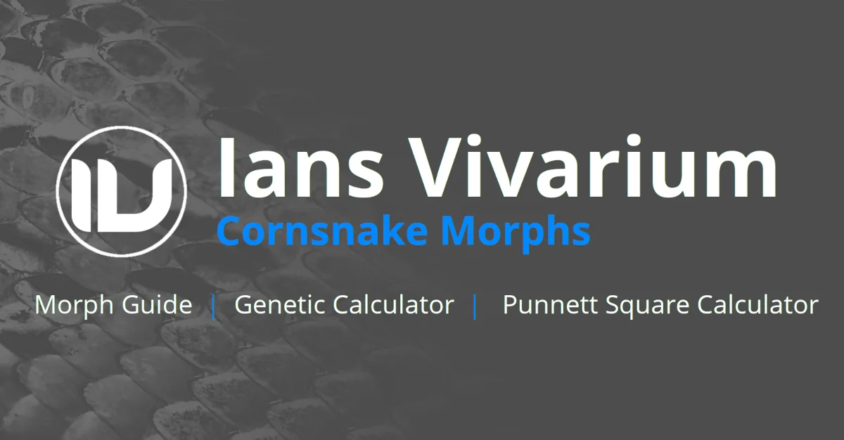 Ian's Vivarium Cornsnake Calculator