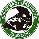 IB Exotic Crested Gecko Morph Calculator