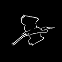 Important Bird Areas