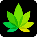 IndicaOnline