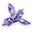 IRIS Floral POS