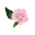 Kay's Flower School