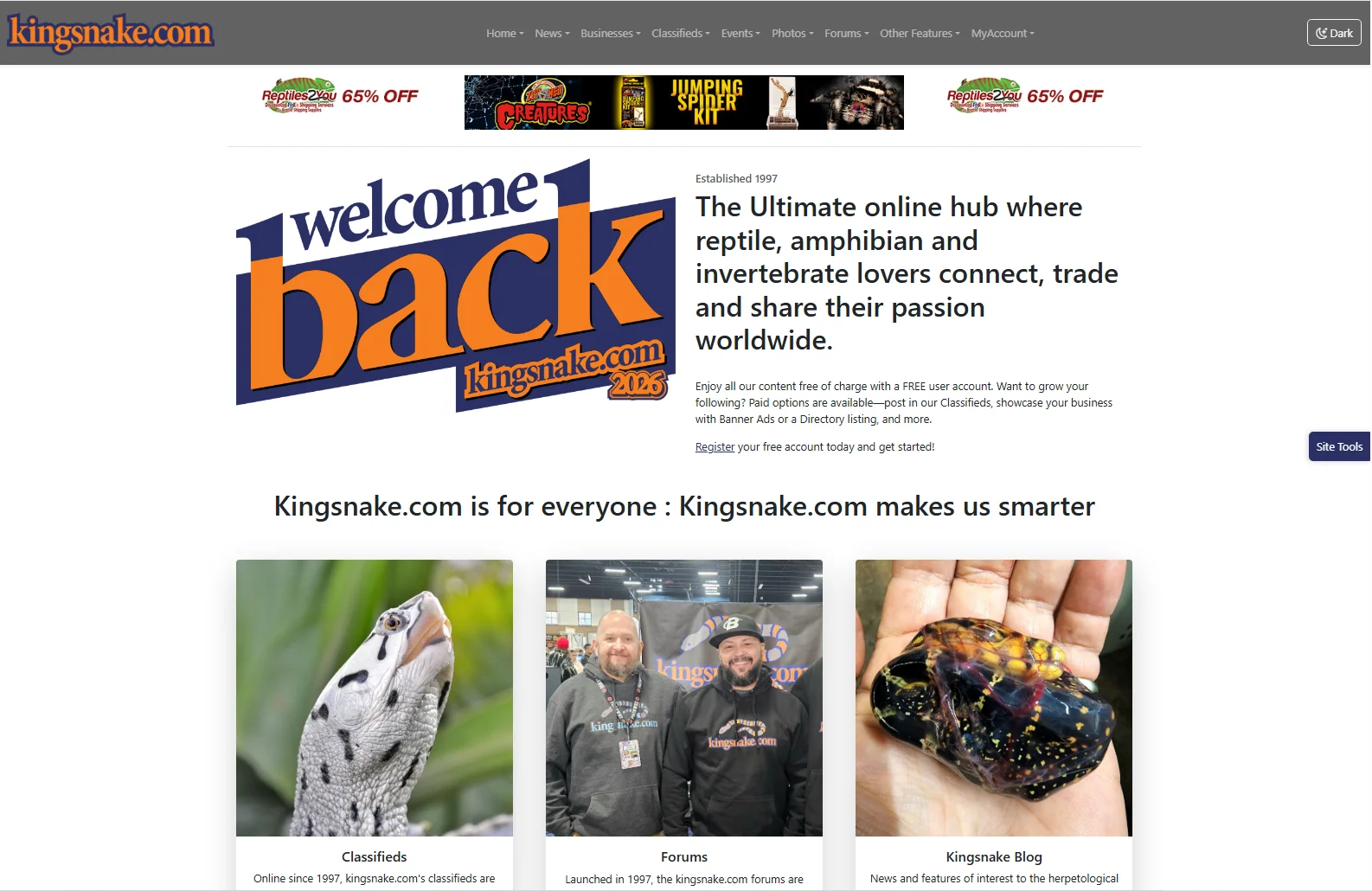 Kingsnake.com