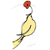 Ladybird Poppy Floral Design