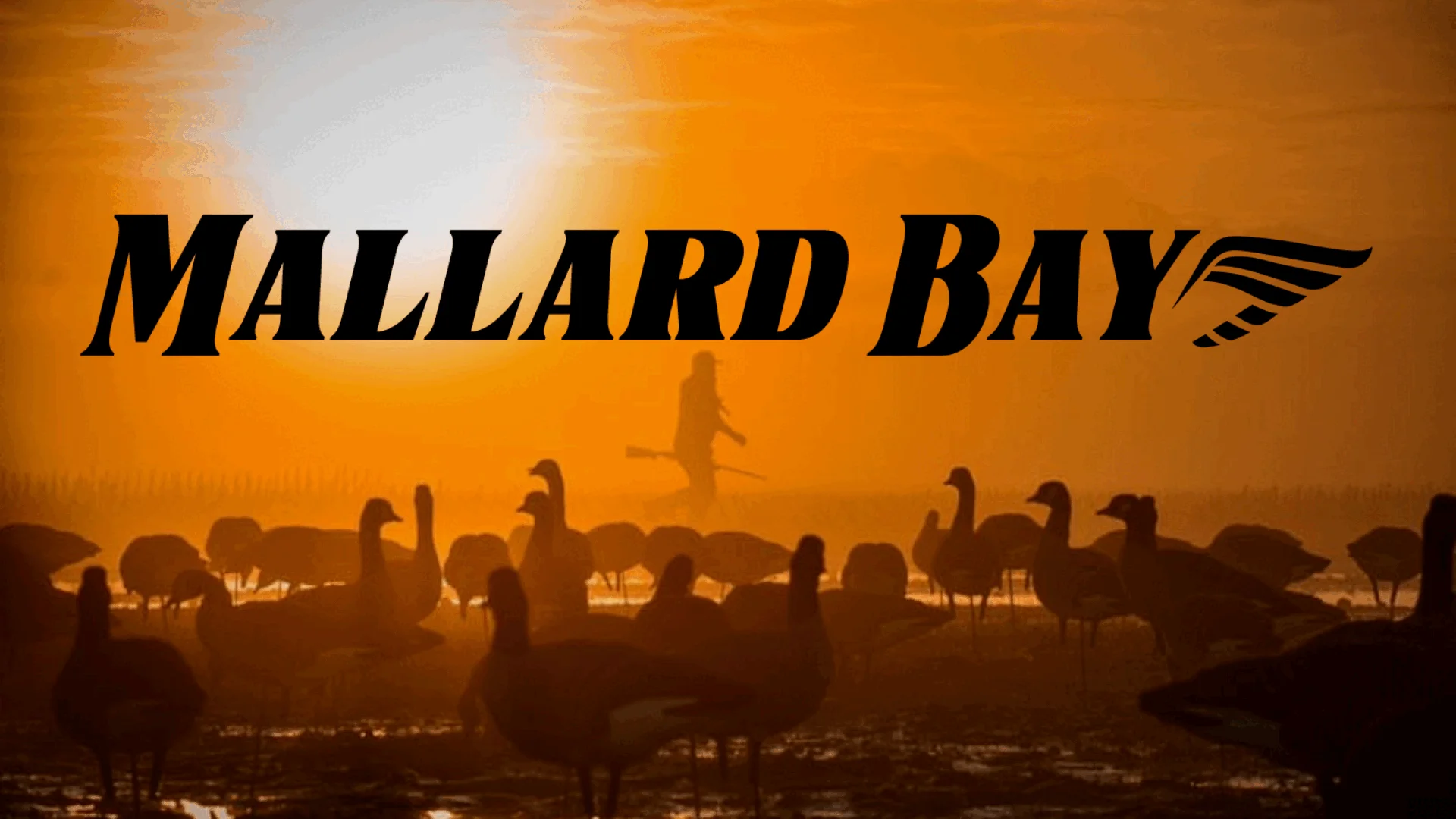 Mallard Bay