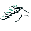 New Frontier Data