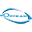 Optikam