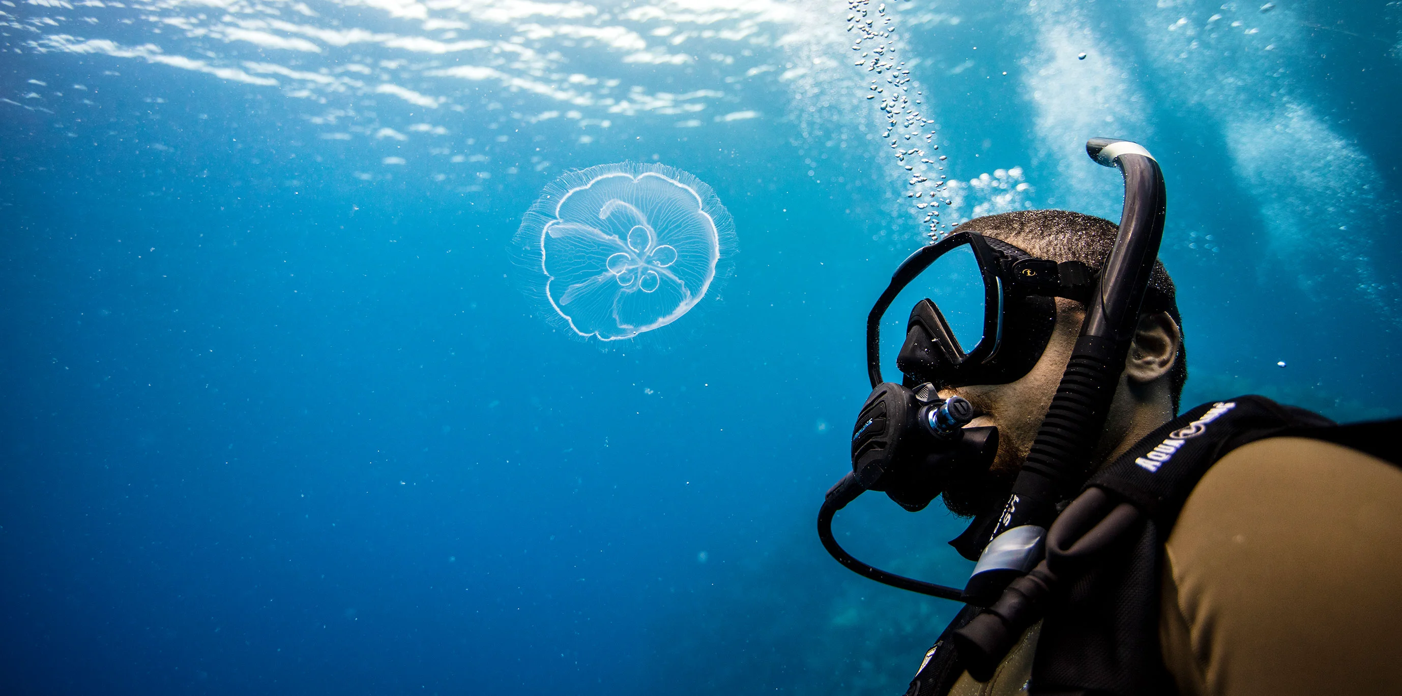 PADI eLearning