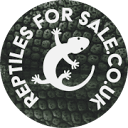 Reptiles For Sale UK