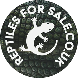 Reptiles For Sale UK