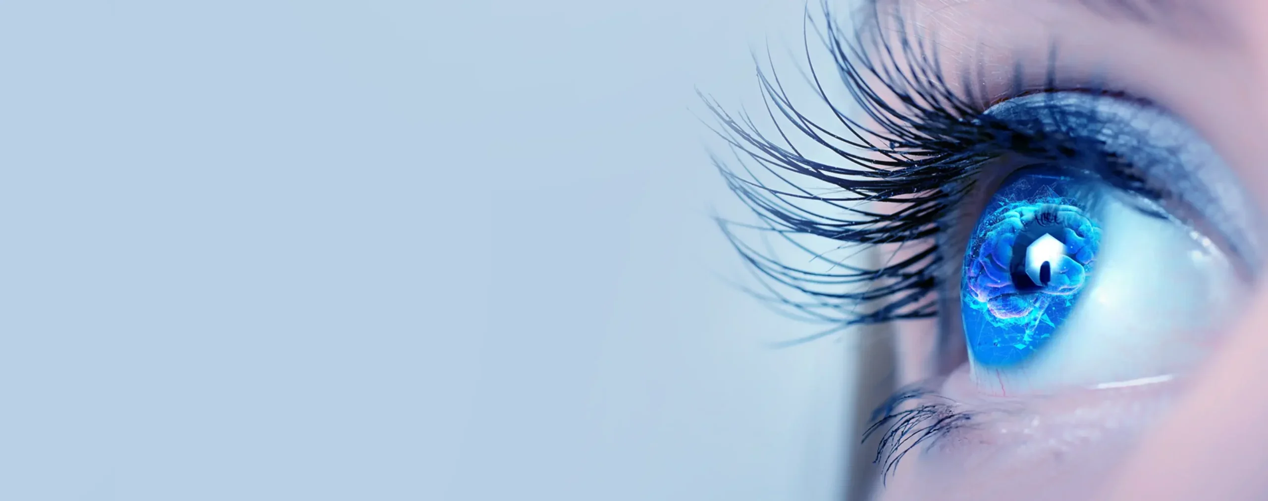 RevitalVision