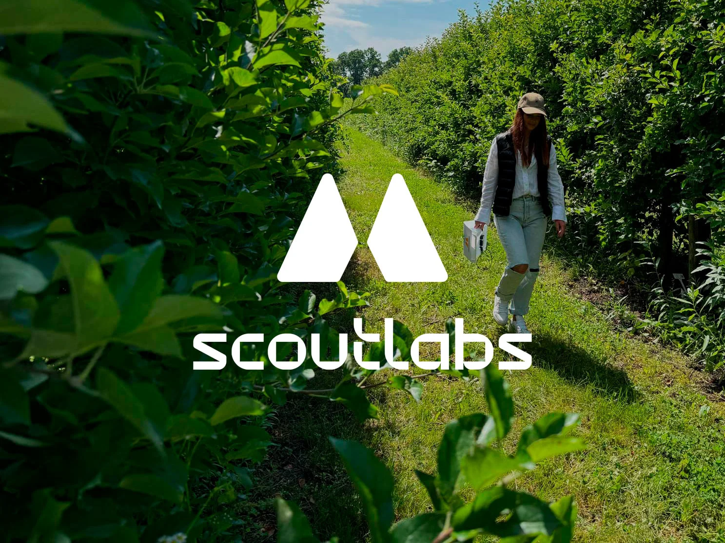 ScoutLabs