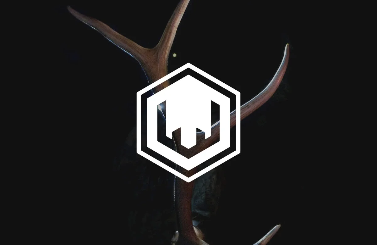 Scout To Hunt