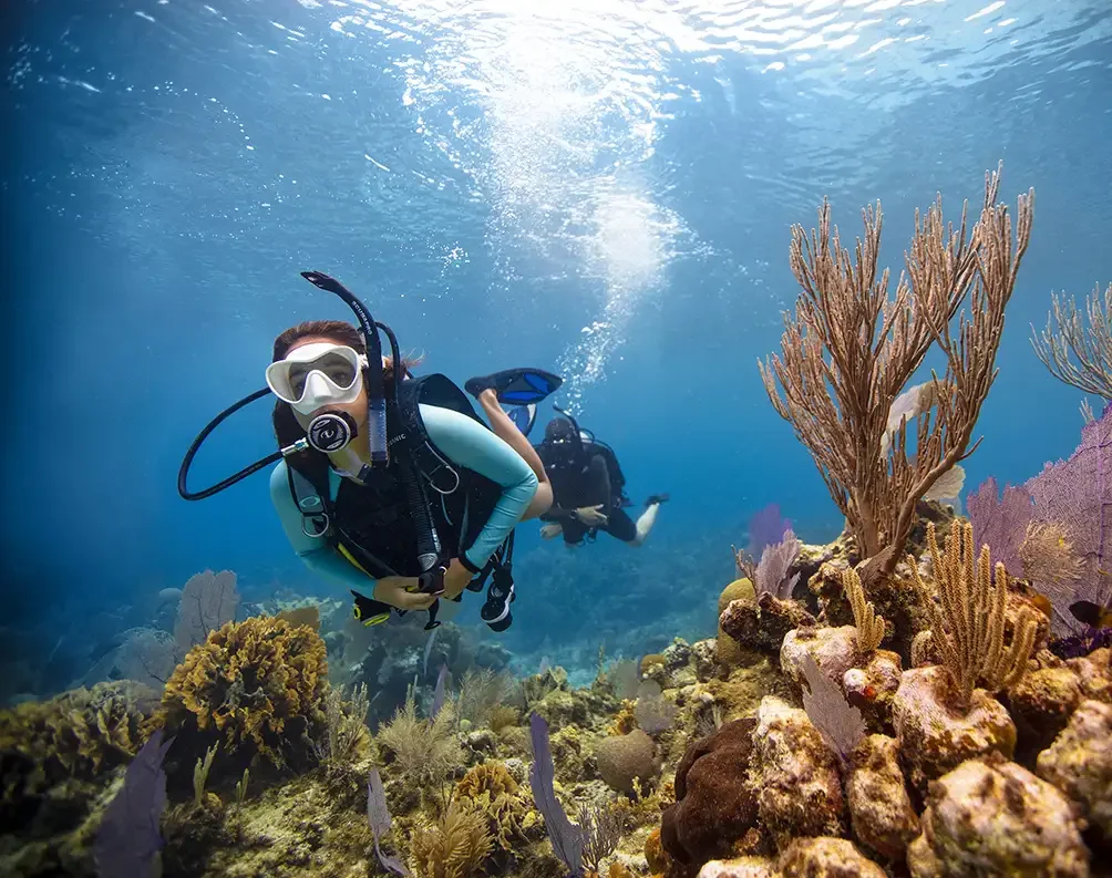 Scuba Dive Online