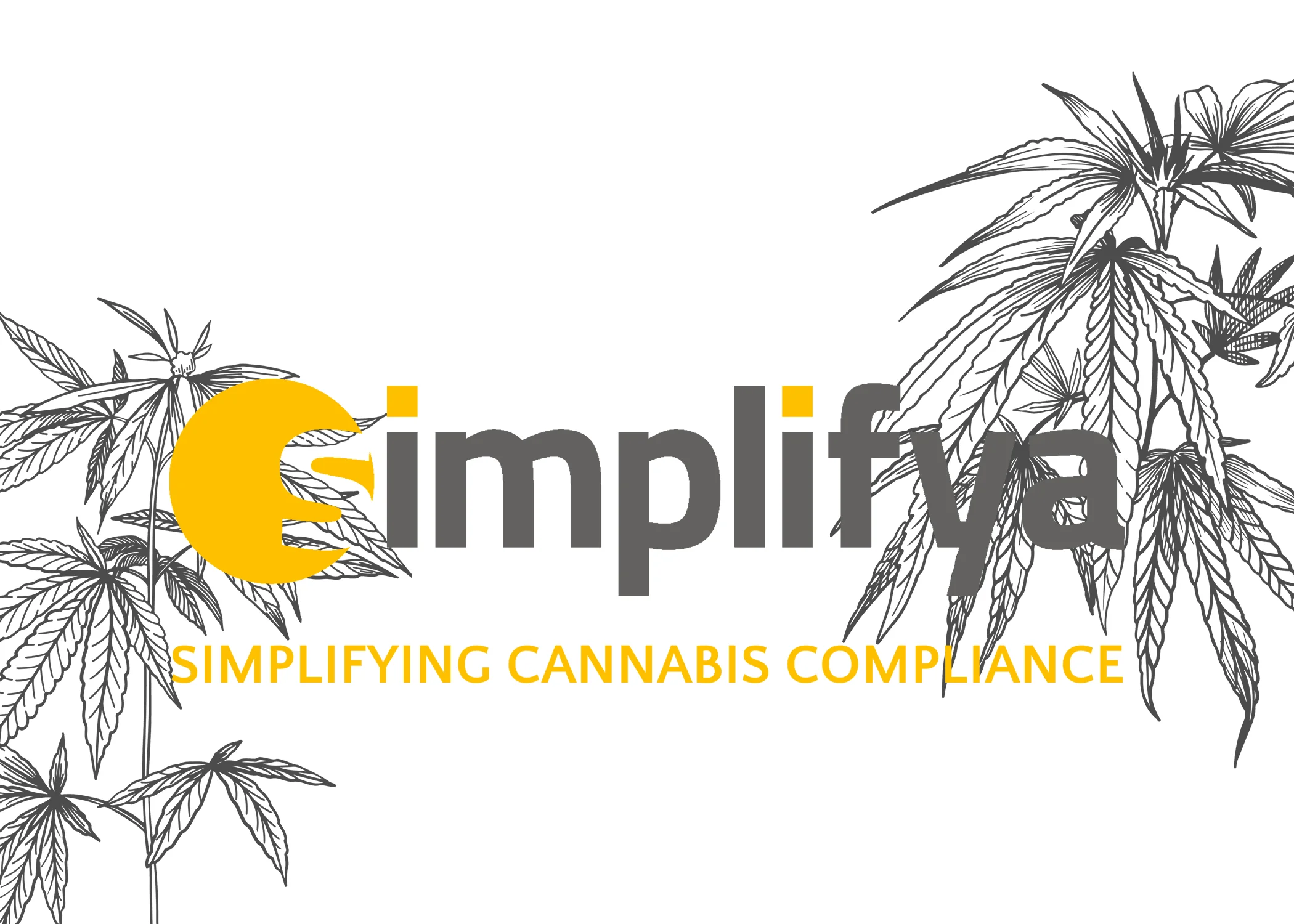Simplifya