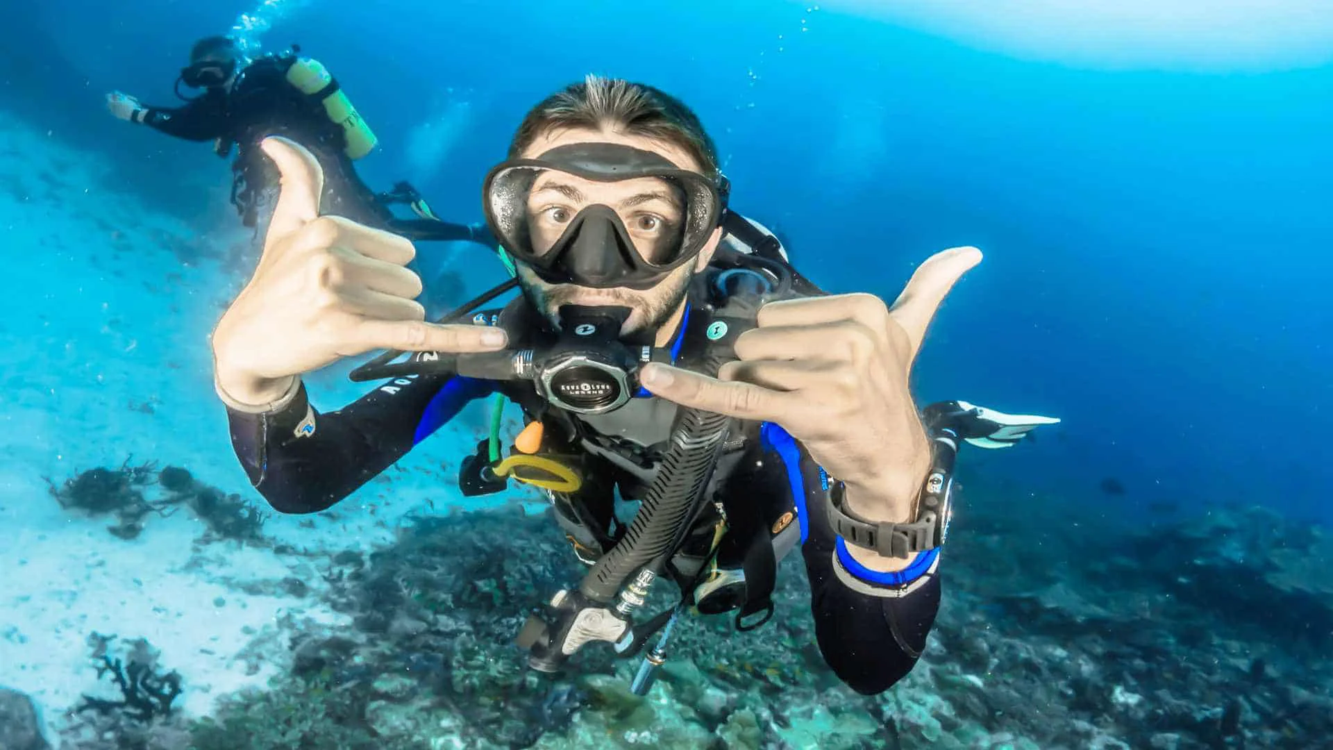 Social Diving