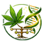 Strain Ancestry