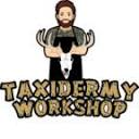 Taxidermy Workshop