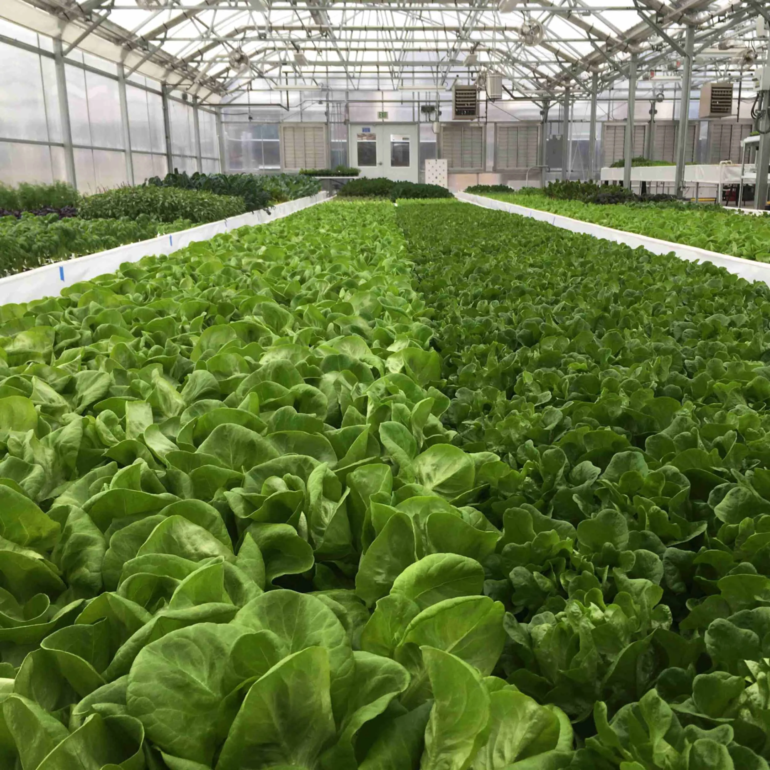 The Aquaponic Source