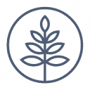 Treezi