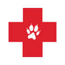 VetTriage