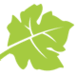 VinSense