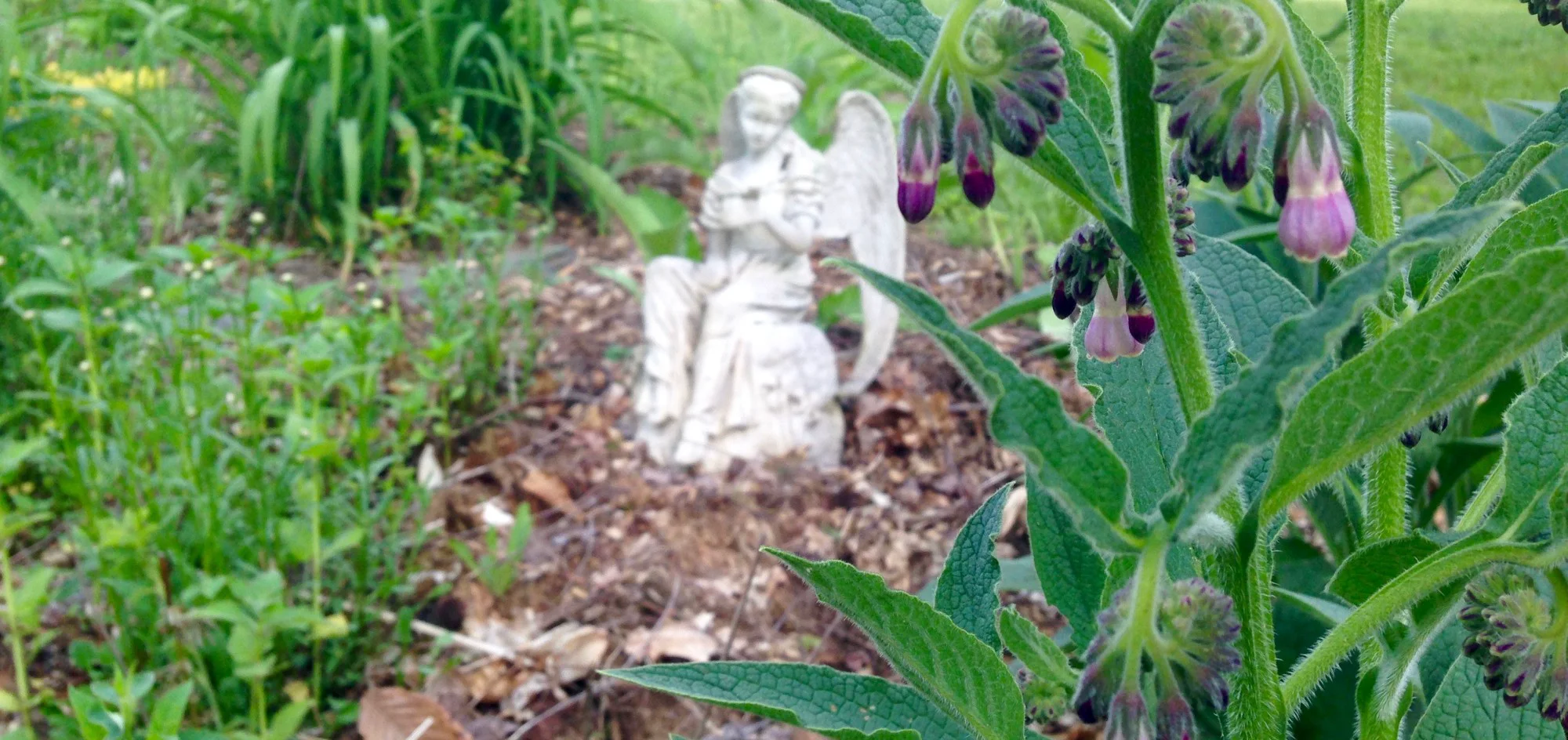 Wintergreen Botanicals